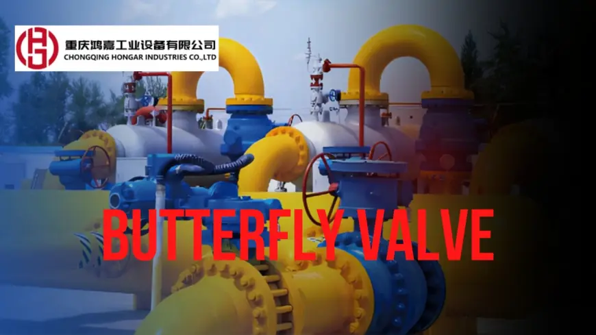 What is a Control Valve