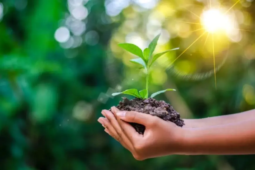 How NZ ESG Reporting Improves Investor Confidence And Capital Allocation