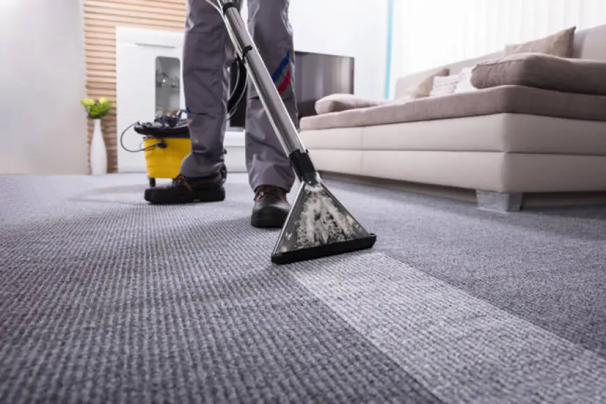 Steam Cleaning Delicate Rugs and Carpets – Is It Safe?