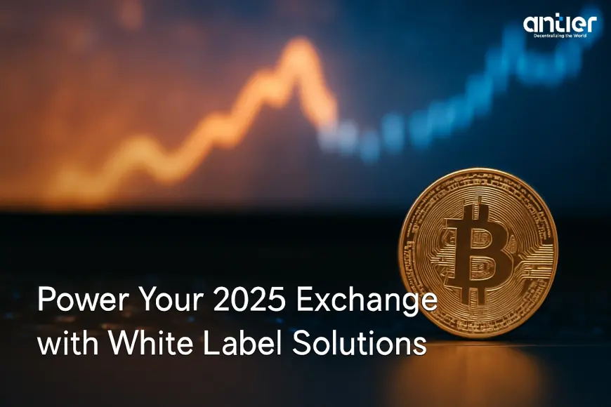 The 2025 Catalyst Fueling White Label Cryptocurrency Exchange Adoption