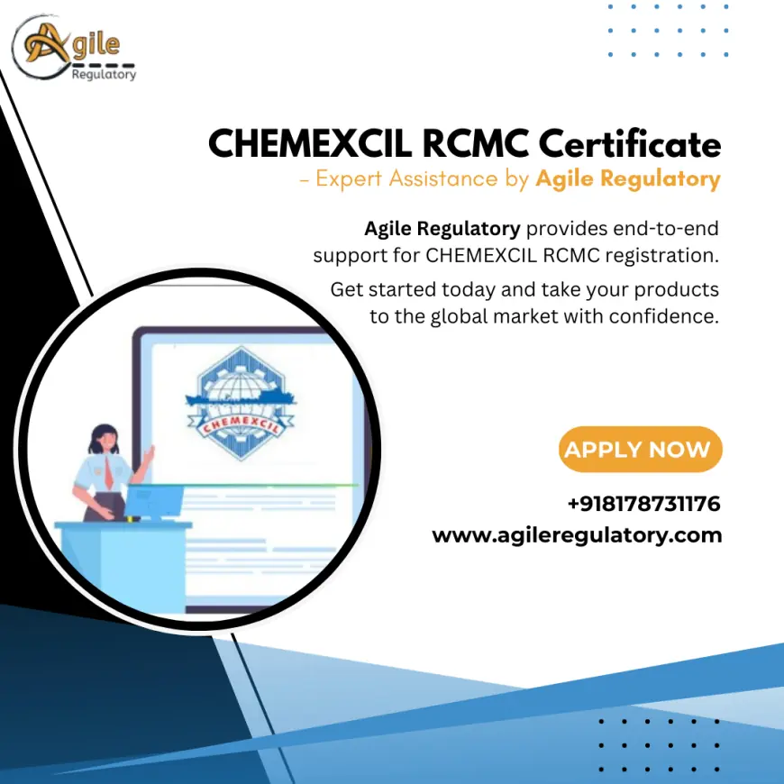 Unlocking New Opportunities: Essential Compliance for Chemical Manufacturers to Export