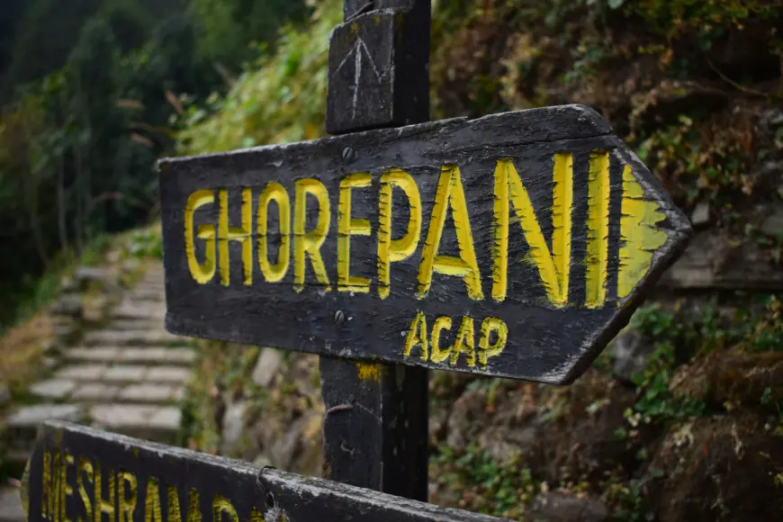 The Ghorepani Poonhill Trek: Proof That Happiness Is Just 3,210 Meters Away