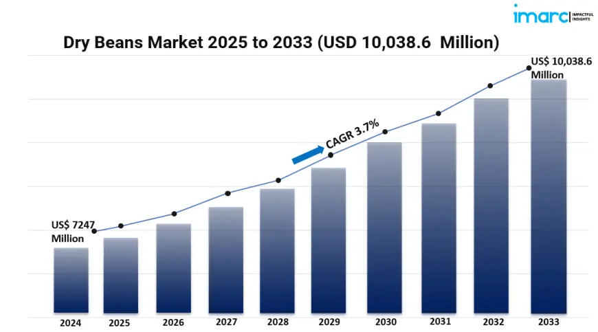 Rising Plant-Based Diets Fuel Growth in the Global Dry Beans Market