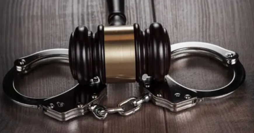 Understanding the Importance of a DUI Criminal Defense Lawyer and a Weed DUI Lawyer