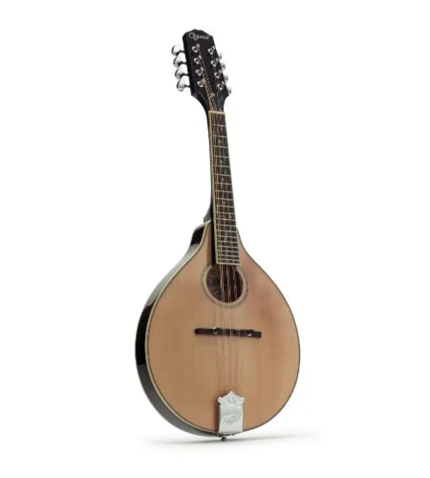 The History and Evolution of Mandolins: A Deep Dive into the Iconic Instrument