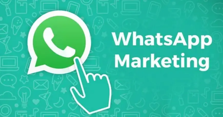 Why You Need a WhatsApp Marketing Agency in Abbottabad