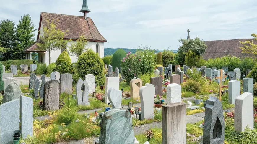 How Much Does Cremation Cost? Costs, Factors & Urn Choices