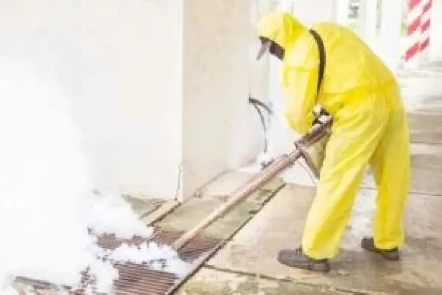 Protect Your Melbourne Home: Expert Pest Control Services in Every Suburb