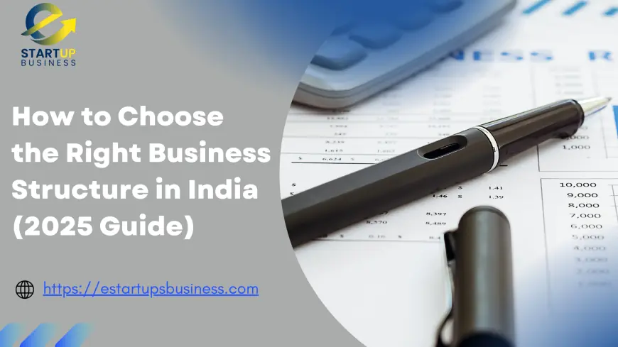How to Choose the Right Business Structure in India (2025 Guide)