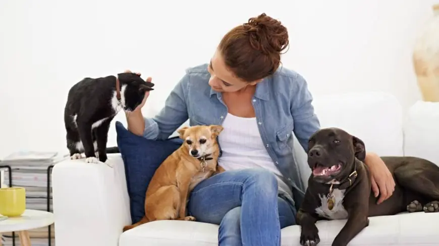 Comprehensive Pet Protection with Saad Janjua State Farm Insurance Agent