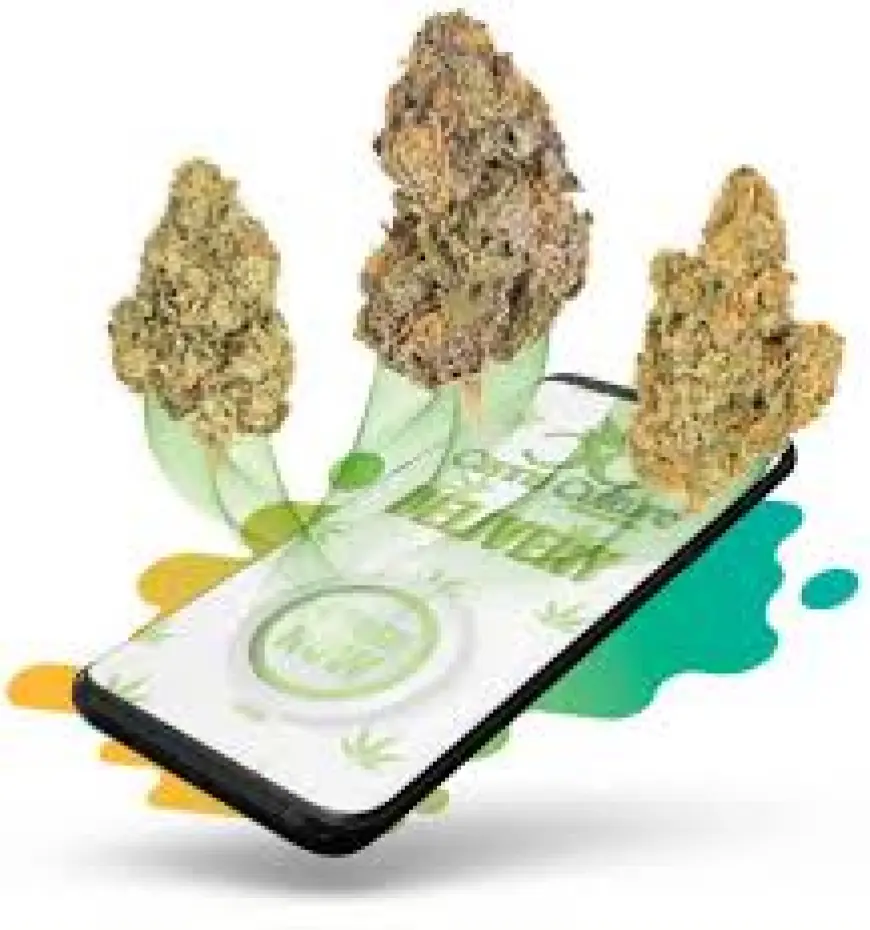Bulk Weed Online Canada: Your Complete Guide to Quality, Quantity, and Convenience