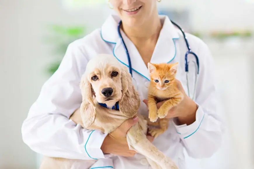 Companion Animal Health Market Forecast & Industry Research 2025–2033