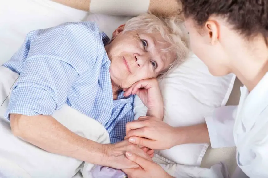 Private Carers in Croydon: Premium Domiciliary and Personal Care at Home