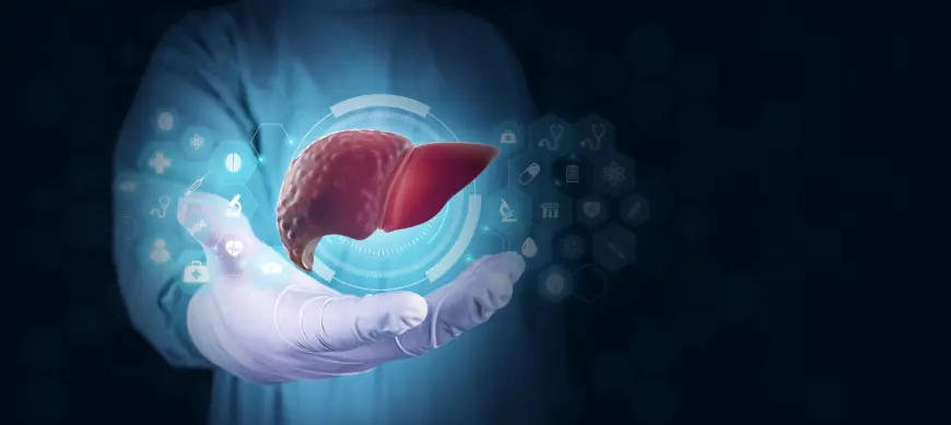 Hepatologist Singapore: When to Visit and What to Expect