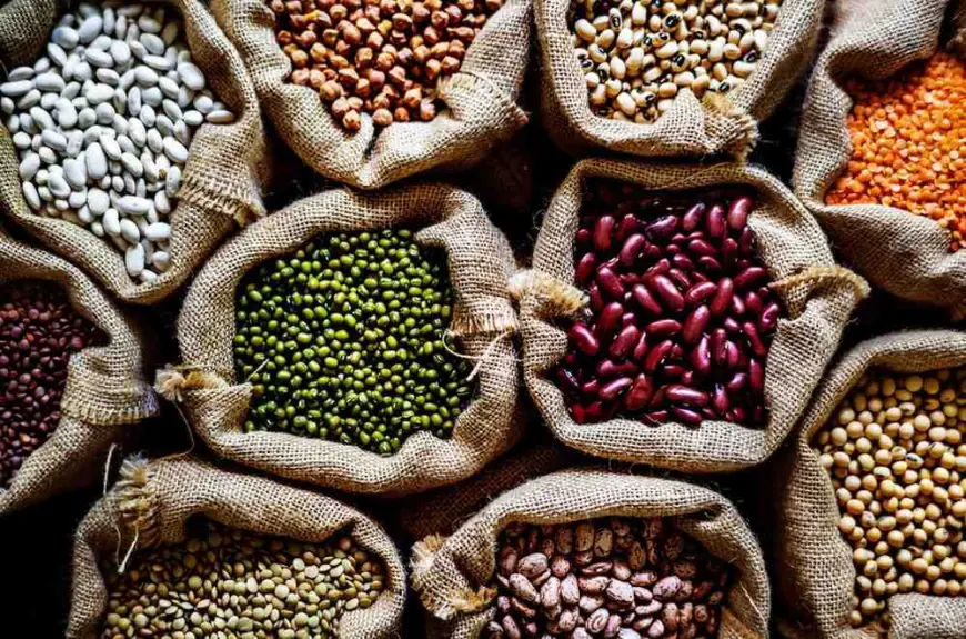 Exploring the Most Trusted Beans Brands in India