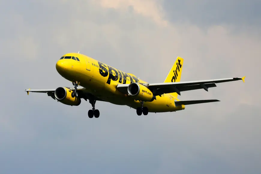 Special Assistance Spirit Airlines Wheelchair Assistance – How to Book?
