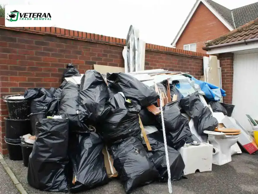 Path for Sustainable Conversion of Waste into Wealth with Trash Removal