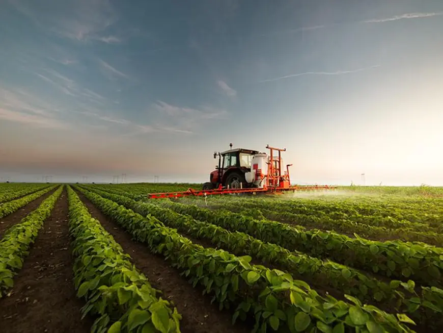 Crop Reinsurance Market 2030 Forecast: Drivers and Challenges