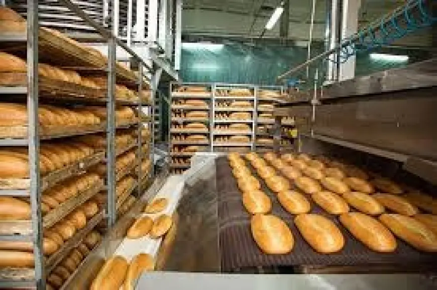 Bread Manufacturing Plant Setup Cost 2025: Detailed Project Report and Business Plan