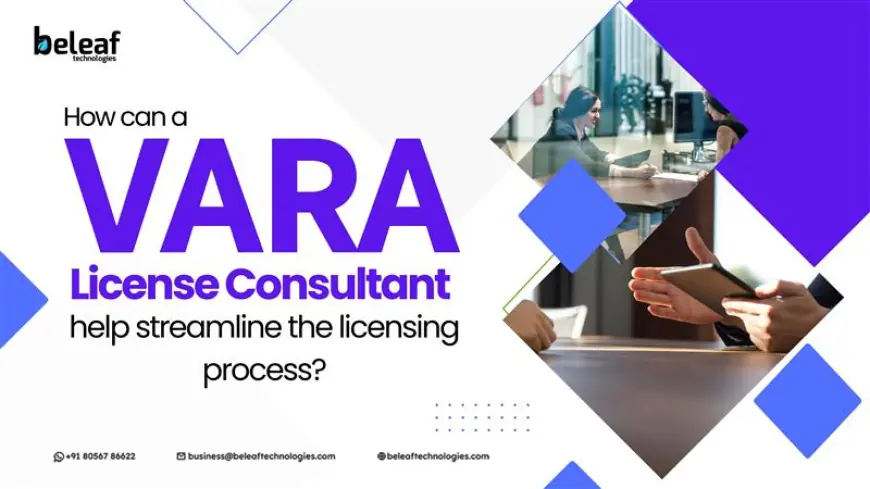 How can a VARA License Consultant help streamline the licensing process?