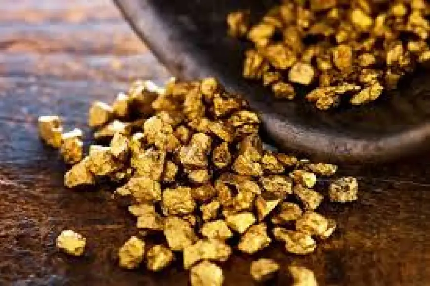 Why You Should Own Gold and Why You Must Get Involved in This Multi-Million Dollar Industry
