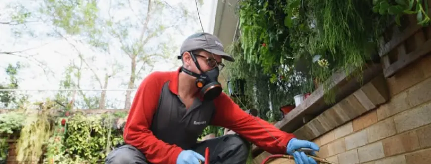 Top Benefits of Choosing a Local Pest Control Company