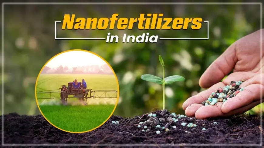 Role, Types and Benefits of Nanofertiliser