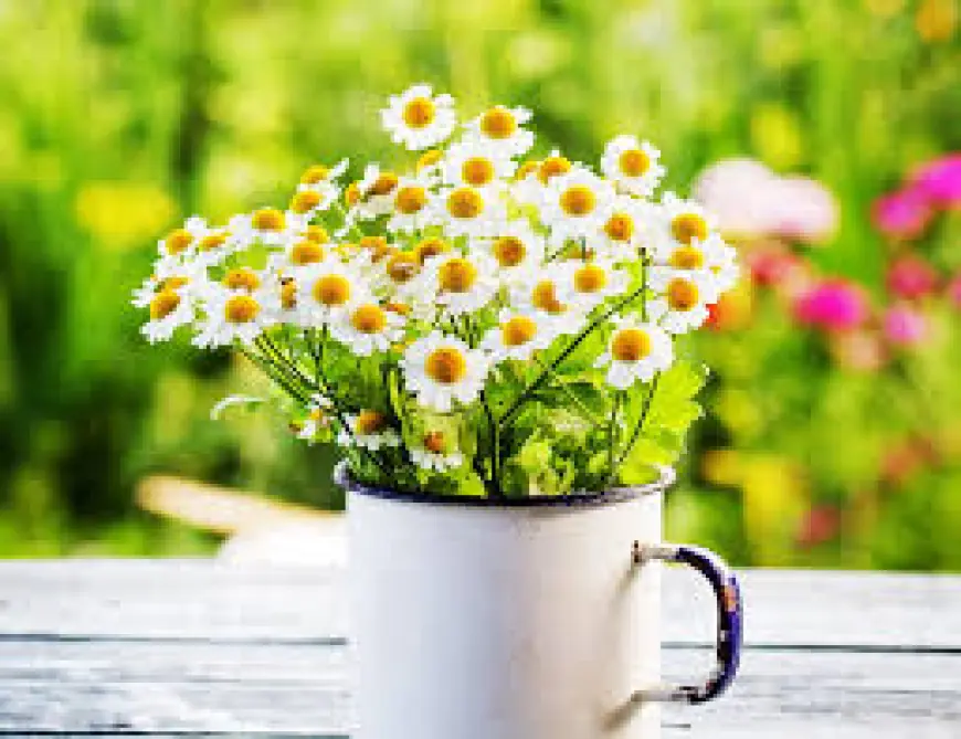 Cut Flowers Market 2025: Trends, Challenges, and the Road Ahead