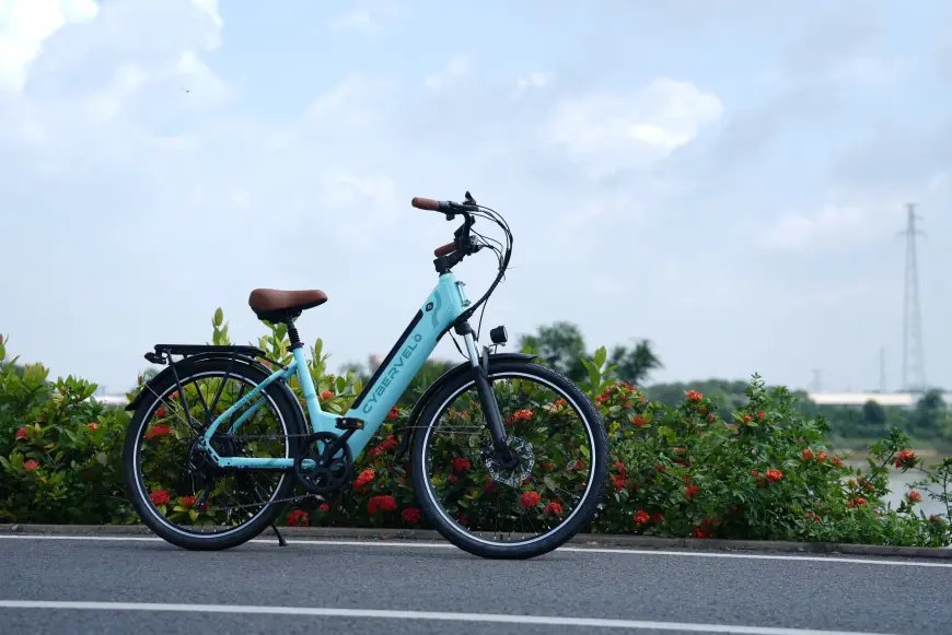 Cargo Power: How E-Bikes Are Revolutionizing Family Errands and Small Business Logistics