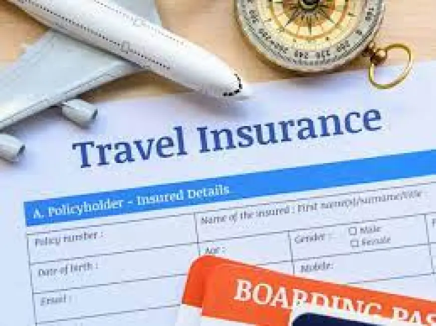 Europe Travel Insurance Market 2030 Industry Key Highlights