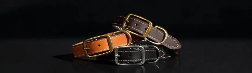 From Walks to Playtime: NAB Leather’s Stylish Dog Collars Leather