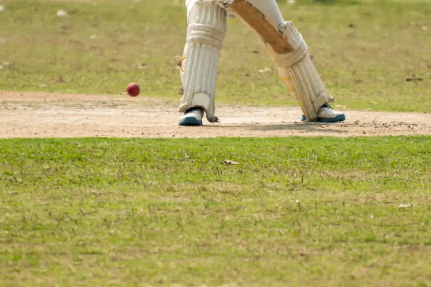 Enhance Your Game with Premium Batting Cricket Pads