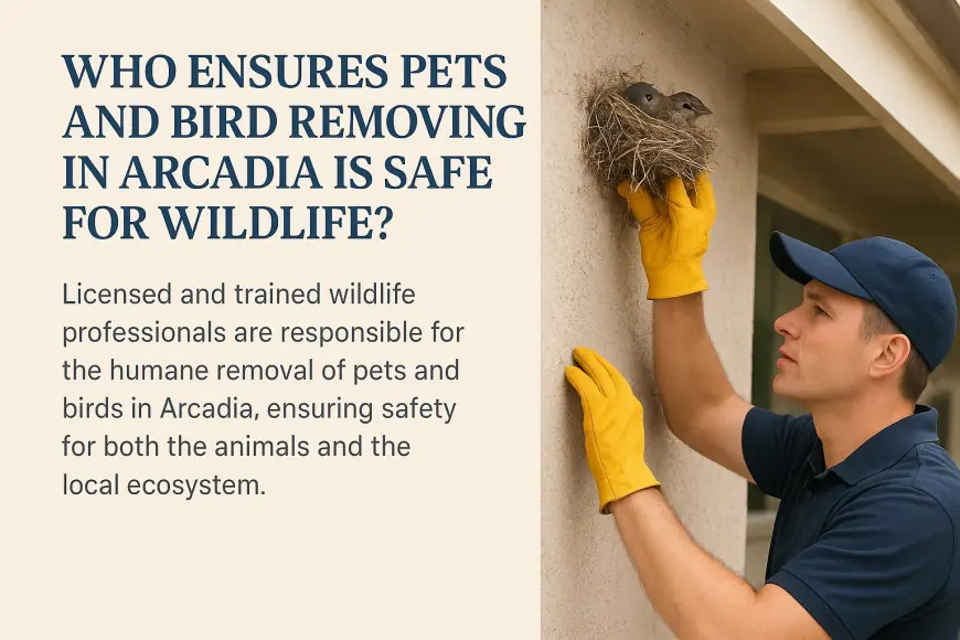 Who Ensures Pets and Bird Removing in Arcadia Is Safe for Wildlife?