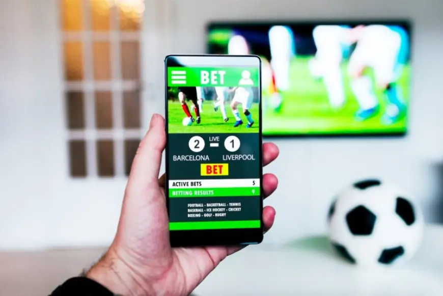 Reddy Anna – Your Trusted Online Book ID & Betting Platform in India