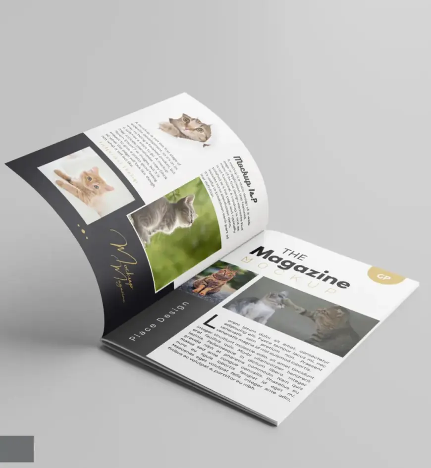 Magazine Printing Online: How to Create and Publish Professional Magazines with Ease