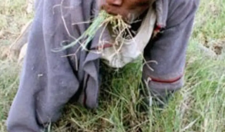 "Since I Stole Your Money for a KDF Job, I’ve Been Eating Grass," Con Admits