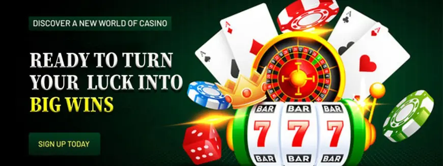 How to Use Your China Open Betting ID for Live In-Play Betting