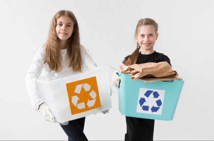 Eco-Friendly Waste Disposal: How Cheap Skip Bins in Palmerston Help Reduce Landfill