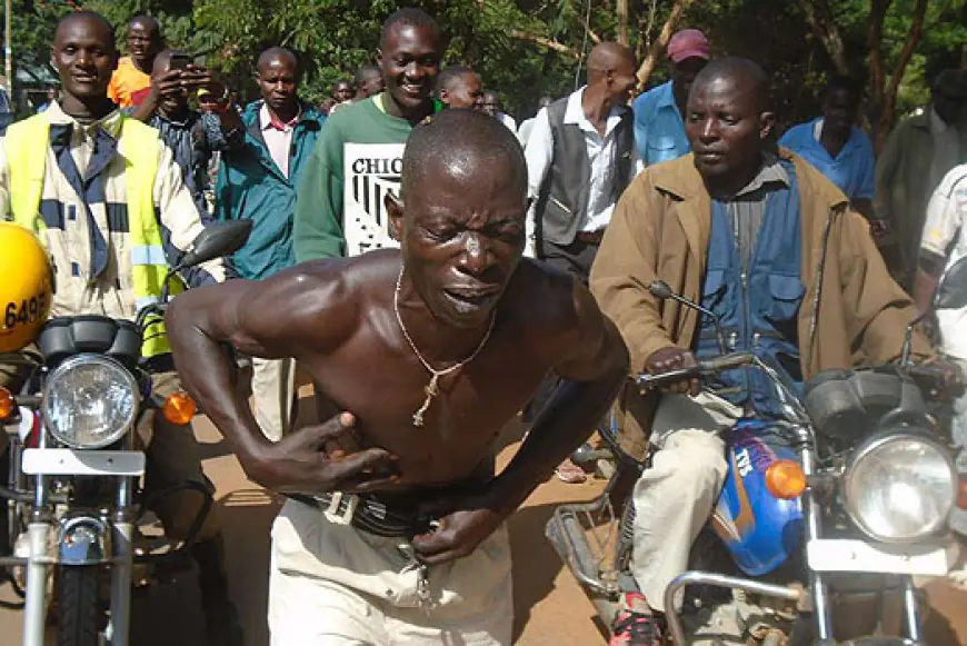 Bees Attack Senior Politician After He Allegedly Misused 2 Billion Shillings, Full Story Inside
