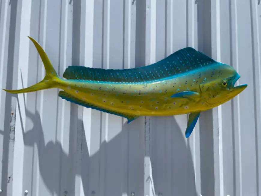 Mounted Fish for Sale – High-Quality Fish Replicas for Anglers and Collectors