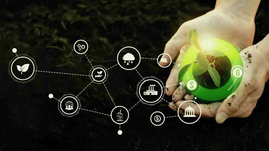 How Cities Benefit from the Economic Value of Biodiversity and Ecosystem Services