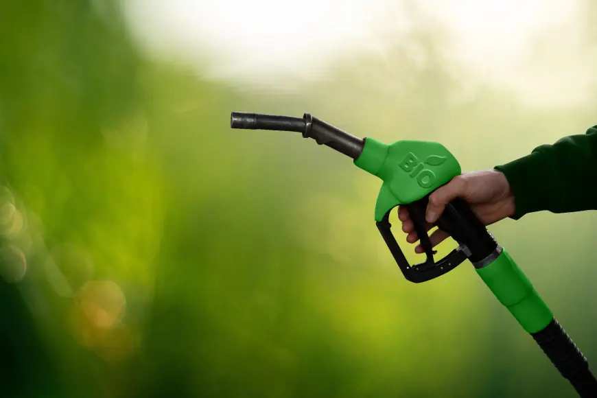 Biofuel Testing Services Market Potential Fueled by Sustainability Trends, Quality Compliance and Regulatory Demands