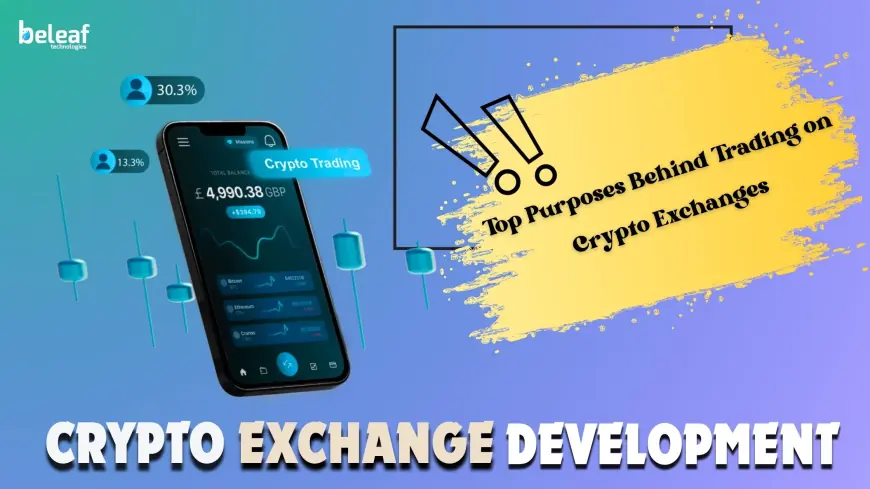 Why Are So Many People Trading on Crypto Exchanges? Exploring the Main Purposes.