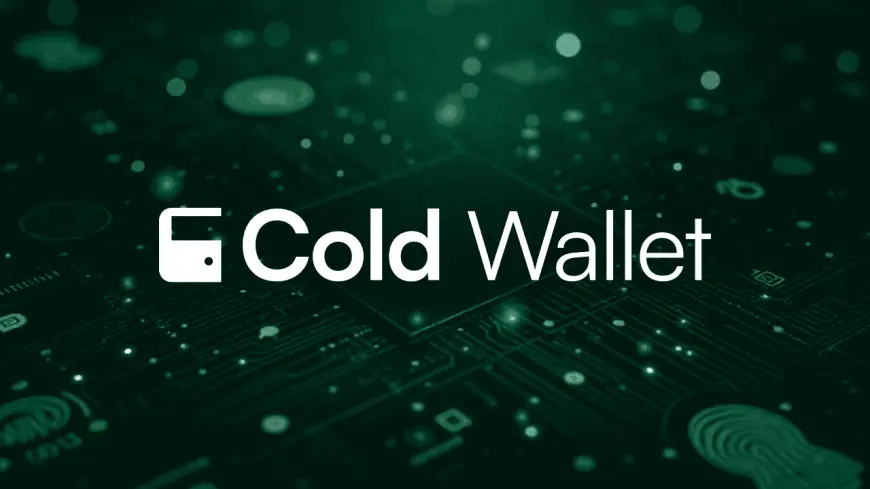 Why Are Cold Wallets for Crypto the #1 Security Choice?