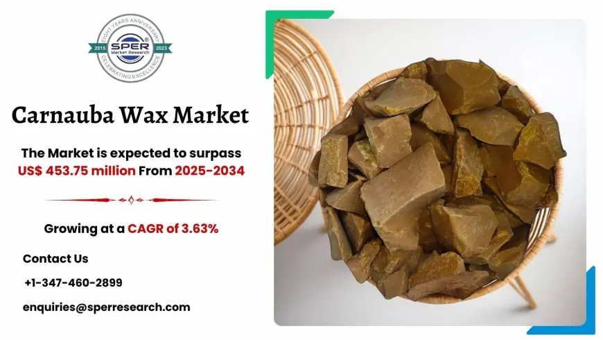Carnauba Wax Market Size, Share, Growth and Trends 2034