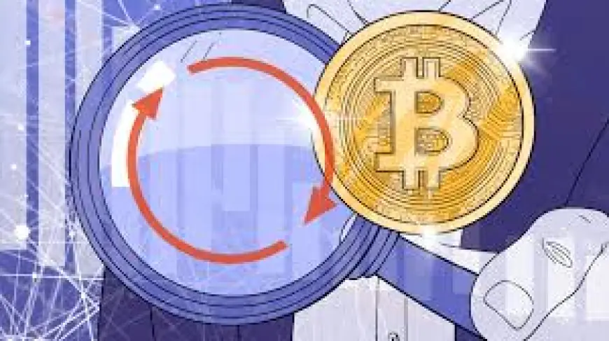 Best Wallet for Crypto – Hot vs. Cold Wallet Comparison
