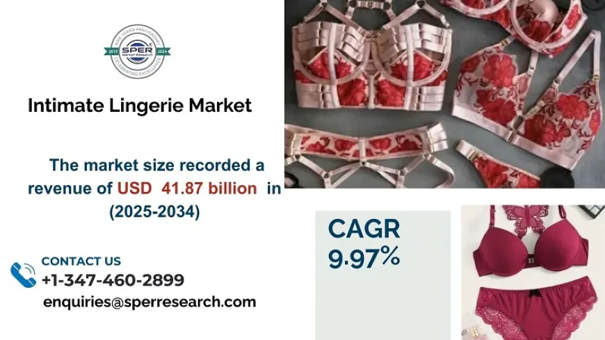 Intimate Lingerie Market Growth, Trends, Share, Analysis and Segment 2034