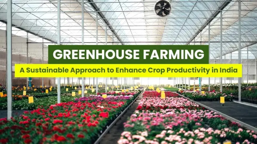 Discover the Importance of Greenhouse Farming and Its Advantages