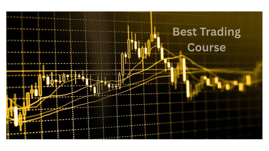 Master Market Patterns with ICFM’s Technical Analysis Training