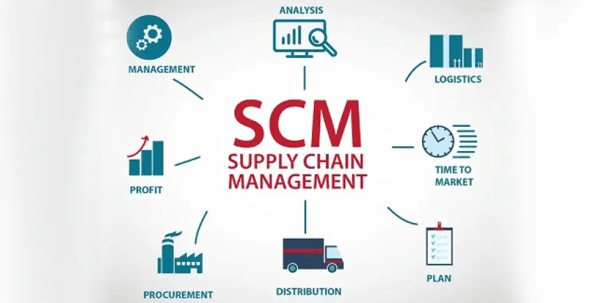 Why Supply Chain Management (SCM) Software is Essential for Modern Business